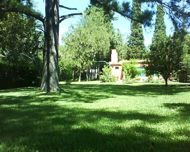 prueba imagenes