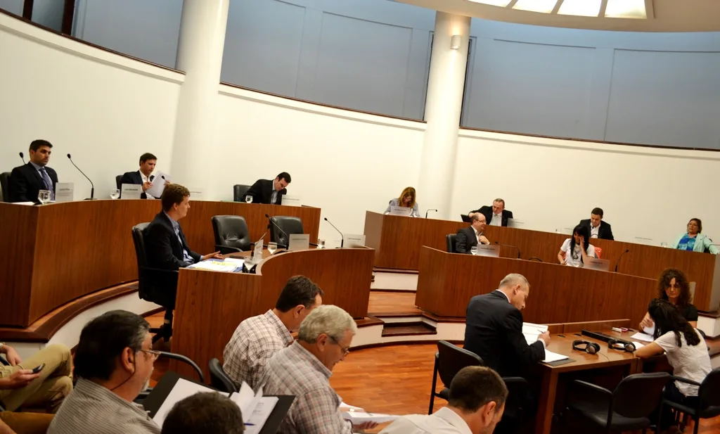 Solicitaron nuevas medidas y convalidaron el decreto sobre armas y municiones