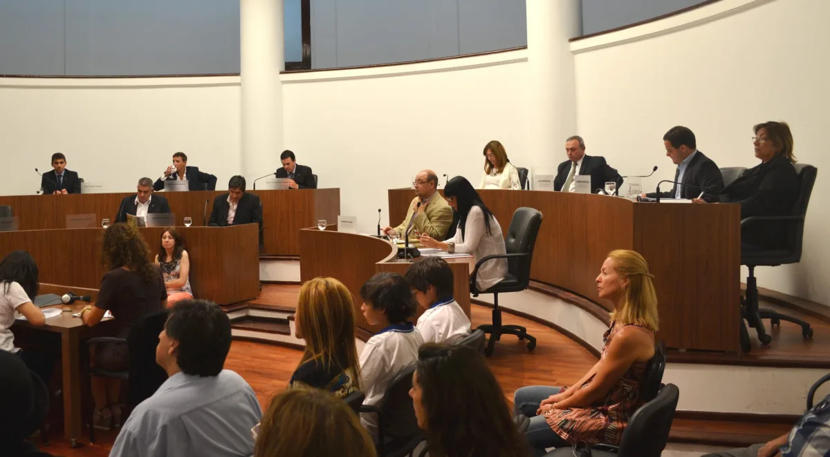 Establecieron reglamentaciones para la venta de armas y municiones en la ciudad