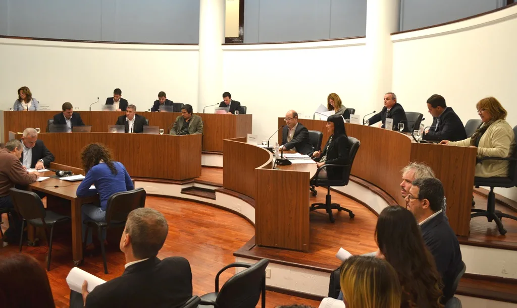 Preocupación de los Concejales respecto a licencias de conducir para sordos e hipoacúsicos