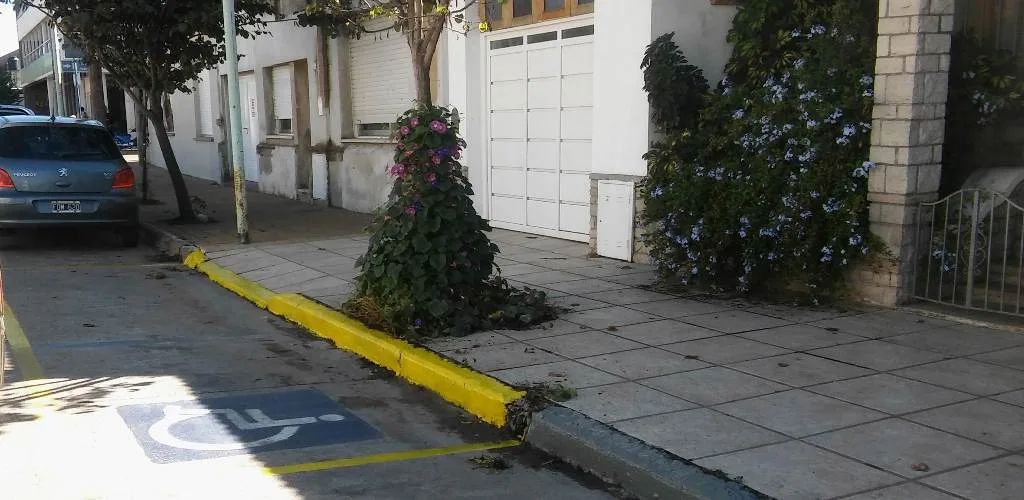 Modifican la Ordenanza que regula beneficios de estacionamientos a personas con discapacidad