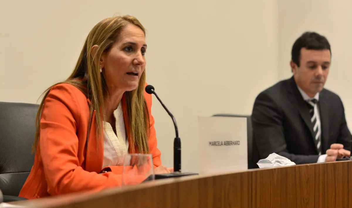 Crean una Unidad Técnica de Control y Auditoría de la Obra Pública