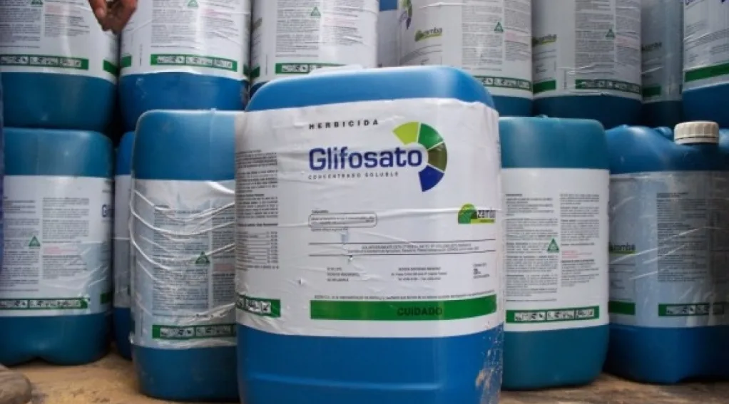 En todo el territorio de la ciudad: el Concejo Municipal prohibió la utilización y venta del herbicida Glifosato
