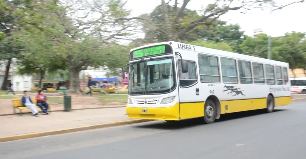 Citan a funcionarios por subsidios al transporte