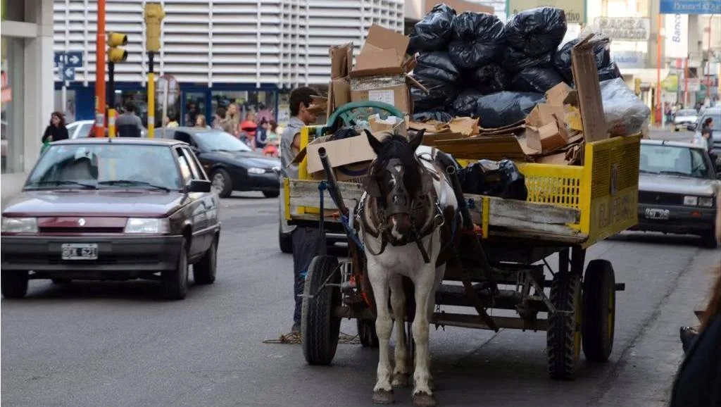 Solicitan completar el programa de reemplazo de vehículos de tracción a sangre