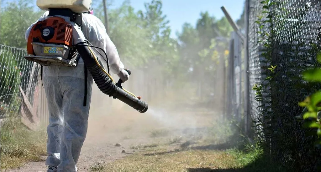 Dengue: piden un plan de fumigación, desmalezamiento y limpieza de zanjas