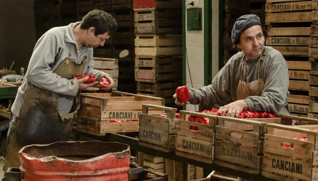 Mercado de Abastecedores: convocan a funcionarios de Control Municipal