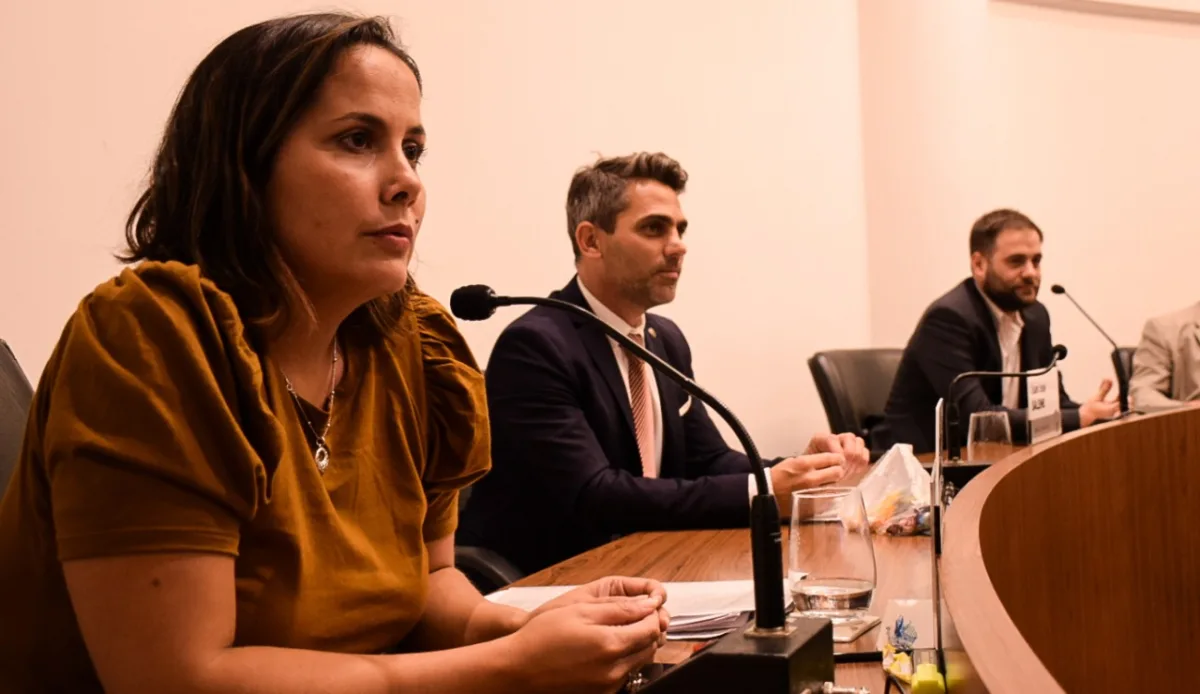 Ley de Necesidad Pública: piden construir consensos para su sanción