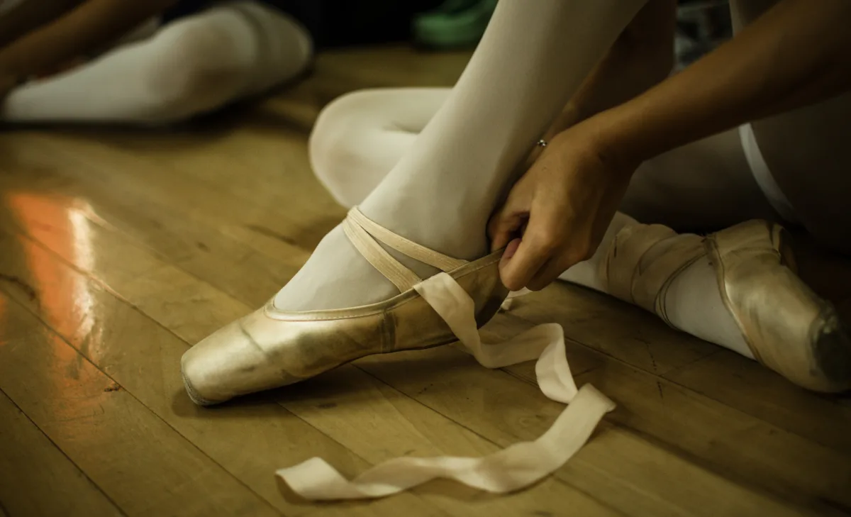 Concejales se reunieron con referentes de la danza santafesina