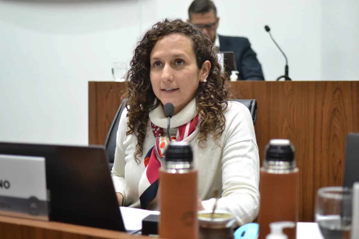 El Concejo aprobó la suspensión de la actualización del mínimo de la TGI