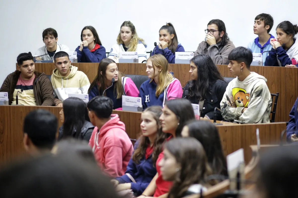 Sesión Concejo Joven (turno tarde)