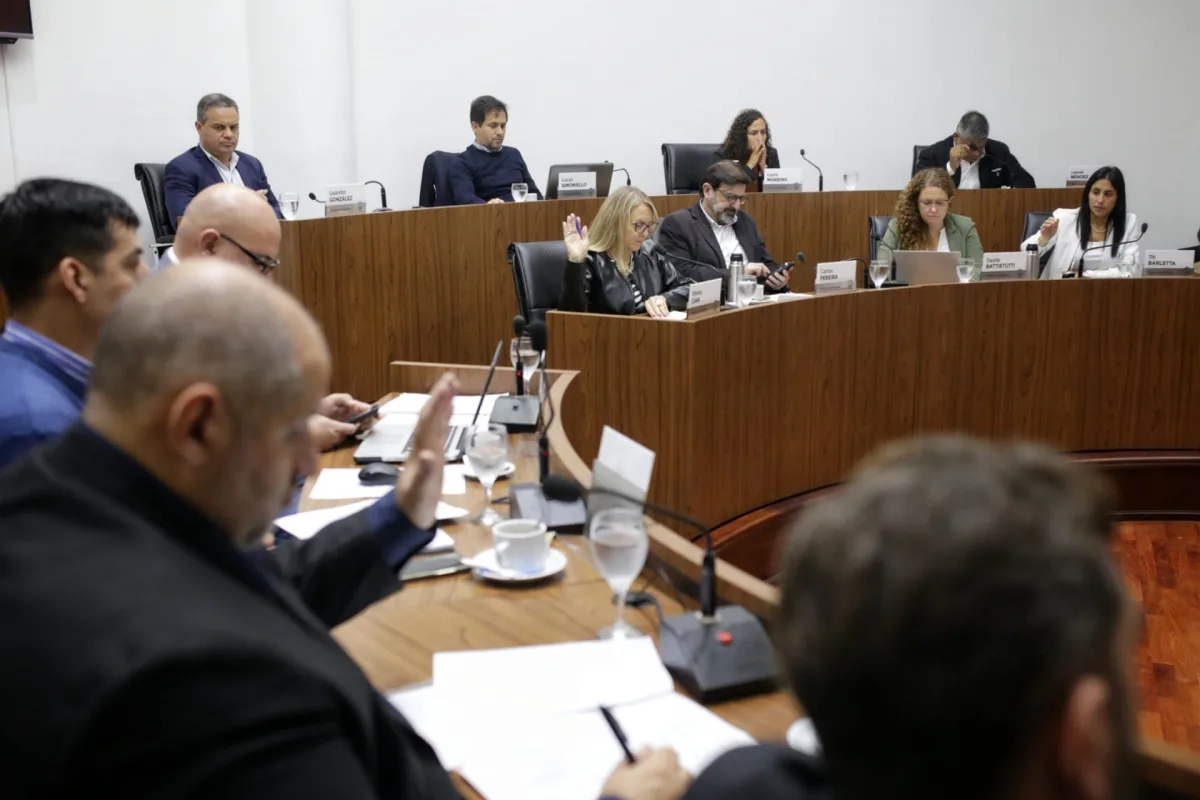 El Concejo adhirió a la Ley Yolanda