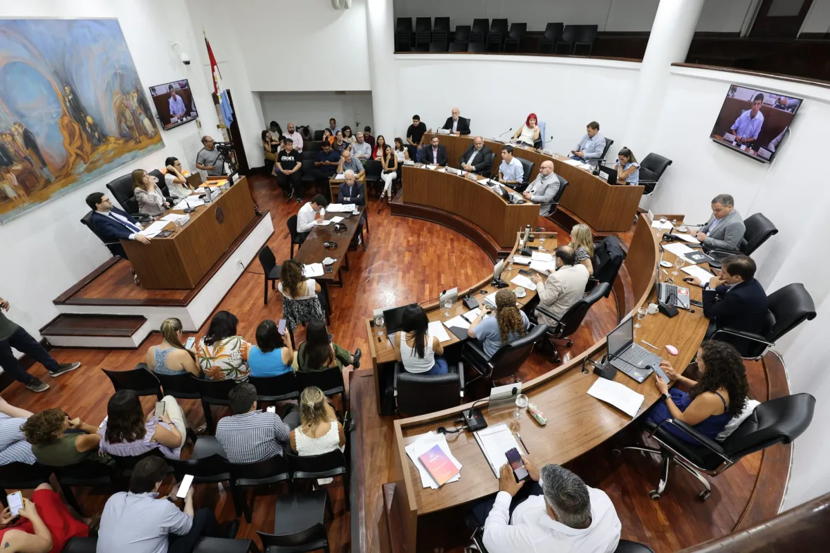 El Concejo establece el “Día en recuerdo de las víctimas de siniestros tránsitos”