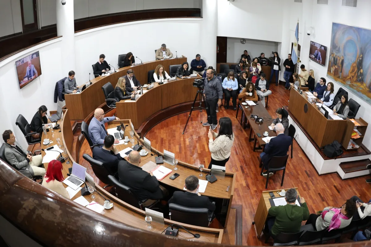 Se aprobaron tres proyectos surgidos en el Concejo Mayor