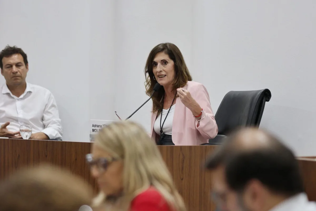 Chuchi Molina sobre la Reforma Constitucional: “Hay más poder para la ciudadanía”