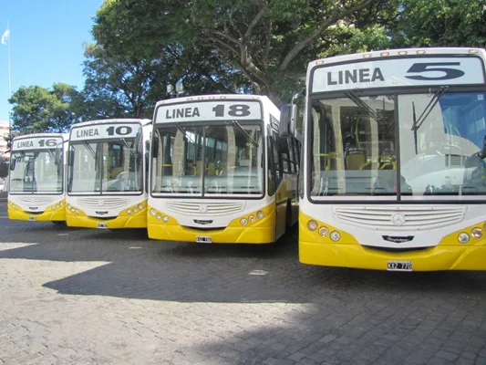 El 0800 Municipal también recibirá reclamos sobre el servicio del transporte público