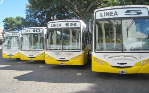 El 0800 Municipal también recibirá reclamos sobre el servicio del transporte público