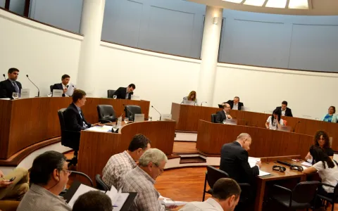 Solicitaron nuevas medidas y convalidaron el decreto sobre armas y municiones