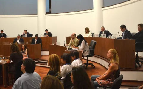 Establecieron reglamentaciones para la venta de armas y municiones en la ciudad