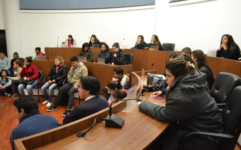 Jóvenes comprometidos bajo el lema “No violencia, No discriminación y Solidaridad”