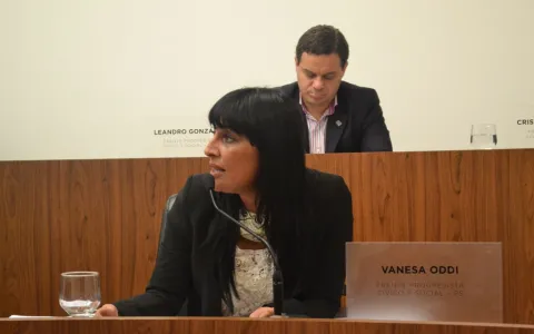 Crearon el Sistema de Preservación Histórico del Adoquinado