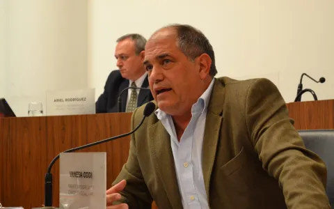 El Concejo propuso intervenciones urbanísticas en el Anfiteatro del Parque del Sur