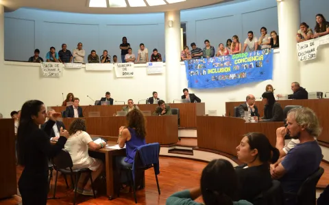 Ante discriminación de la Agencia Nacional, Santa Fe aprueba iniciativa para que sordos accedan al carné de conducir