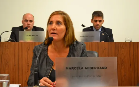 Concejales solicitaron un encuentro con el Ministro de Seguridad