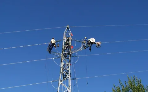 Solicitan al Ente Nacional de Comunicaciones la agilización de reparaciones de telefonía fija por parte de Telecom