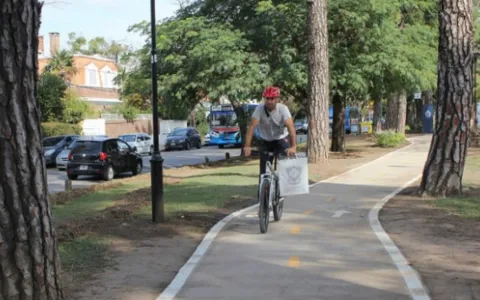 La Municipalidad deberá reparar los baches en las ciclovías de la ciudad