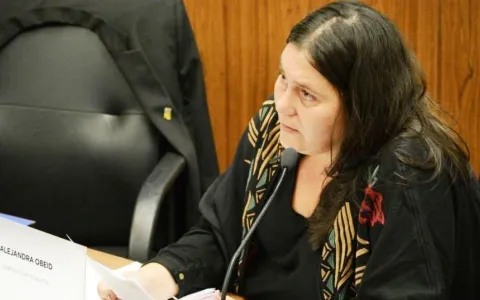 Programa de Iniciativa Comunitaria: citan al Secretario de Desarrollo Social de la Municipalidad