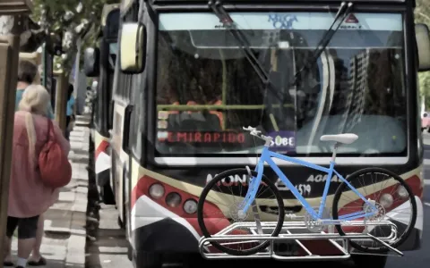 Se podrá llevar bicicletas en el transporte público de colectivos