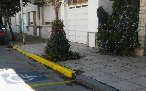 Modifican la Ordenanza que regula beneficios de estacionamientos a personas con discapacidad