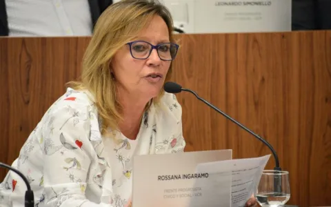 Solicitan incorporar un mecanismo de recarga electrónica para el estacionamiento medido