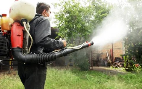 Piden intensificar las tareas de fumigación en la ciudad