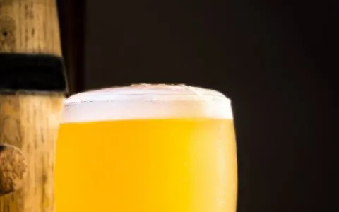 Impulsan la creación de un Circuito turístico de la Cerveza industrial y artesanal de la ciudad