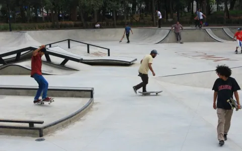 Proponen crear una pista de skate en el Parque Federal