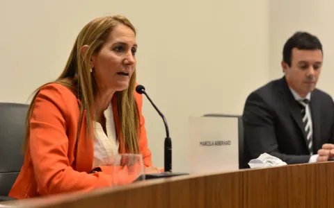 Crean una Unidad Técnica de Control y Auditoría de la Obra Pública