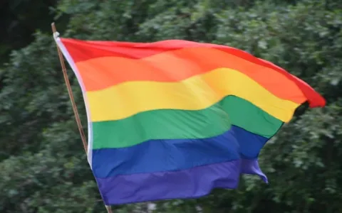 Cupo trans: se aprobó régimen laboral especial en el ámbito municipal
