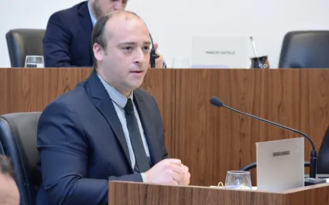 El Concejo sancionó el marco jurídico funcional de la Guardia de Seguridad Institucional