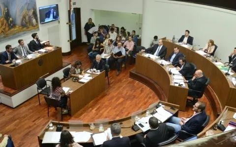 Sesiones informativas: el Secretario de Gobierno Municipal deberá concurrir dos veces al año al Concejo