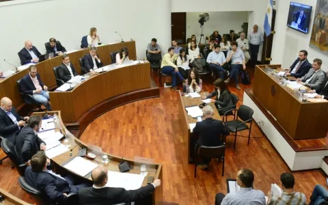 El Concejo debatió un proyecto sobre autonomía municipal