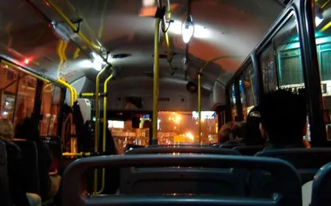 Paro de colectivos: piden informes al Órgano de Control y al municipio