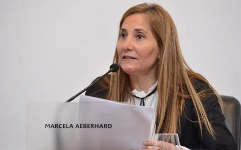 Impulsan la creación de un programa de Precios Bajos Santafesinos