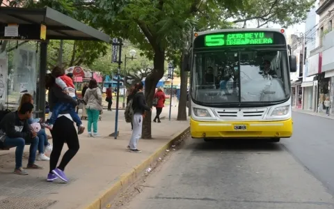 Colectivos deberán incorporar acceso libre a Internet