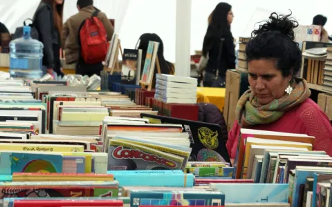 El Concejo autorizó una feria de libros usados los días sábados en Plaza Constituyentes