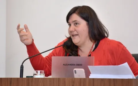 Solicitan la incorporación de un sistema de bonos temporales en el transporte por colectivos