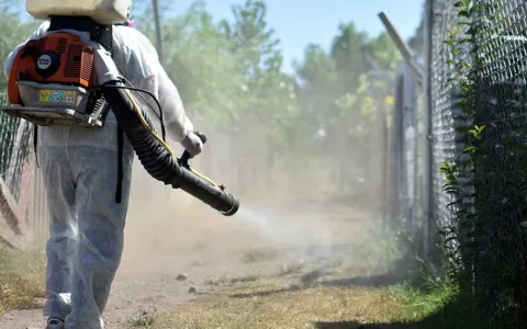 Dengue: piden un plan de fumigación, desmalezamiento y limpieza de zanjas