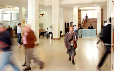 Pasantías y practicantes: piden informes sobre el personal contratado por el municipio