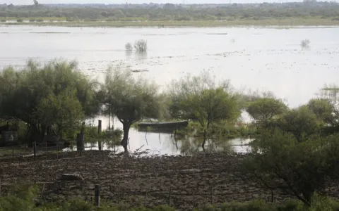 Instan a normalizar el funcionamiento de las estaciones de medición del Río Salado